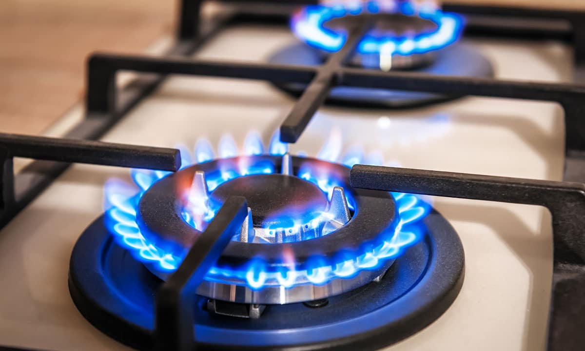An up close photo of gas burners on a stove lit
