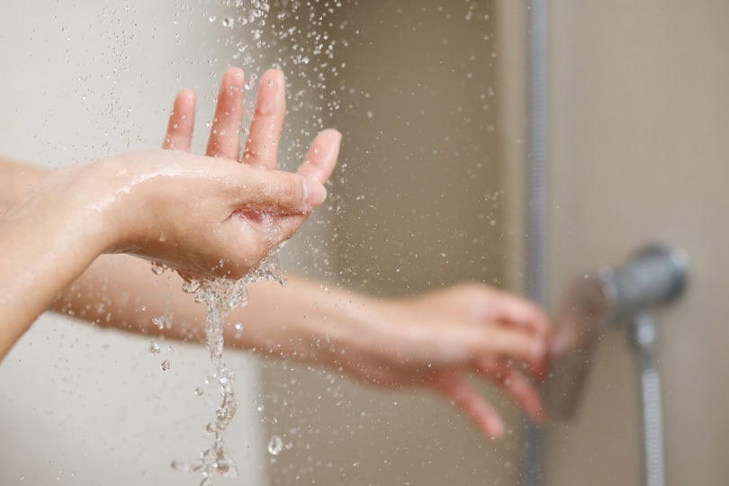 Someone's hand in the water from a shower head